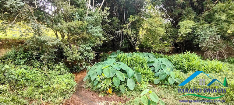 Imagem Chácara à Venda, 21 m² em Centro - Paraisópolis
