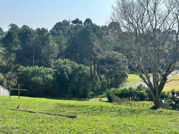 Imagem Terreno à Venda, 1.000 m² em Vila Torres - Campo Largo Imagem Terreno à Venda, 1.000 m² em Vila Torres - Campo Largo