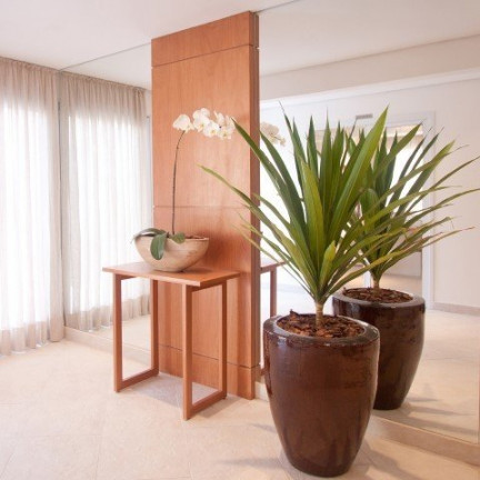 Imagem Cobertura com 2 Quartos à Venda, 97 m² em Morumbi - São Paulo Imagem Cobertura com 2 Quartos à Venda, 97 m² em Morumbi - São Paulo