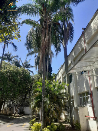 Imagem Sobrado com 6 Quartos para Alugar, 1.977 m² em Indianópolis - São Paulo Imagem Sobrado com 6 Quartos para Alugar, 1.977 m² em Indianópolis - São Paulo