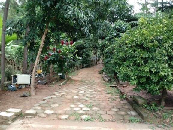 Imagem Chácara com 2 Quartos à Venda, 2.510 m² em Terra Preta - Mairiporã Imagem Chácara com 2 Quartos à Venda, 2.510 m² em Terra Preta - Mairiporã
