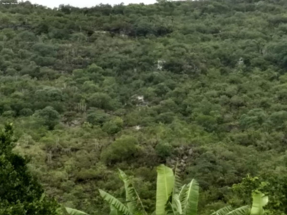 Imagem Fazenda à Venda, 164 m² em Monjolos área Rural - Monjolos