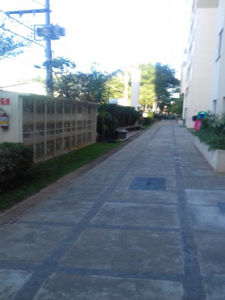 Imagem Apartamento com 3 Quartos à Venda, 65 m² em Jardim íris - São Paulo Imagem Apartamento com 3 Quartos à Venda, 65 m² em Jardim íris - São Paulo