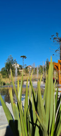 Imagem Imóvel à Venda, 652 m² em Portico - Gramado Imagem Imóvel à Venda, 652 m² em Portico - Gramado