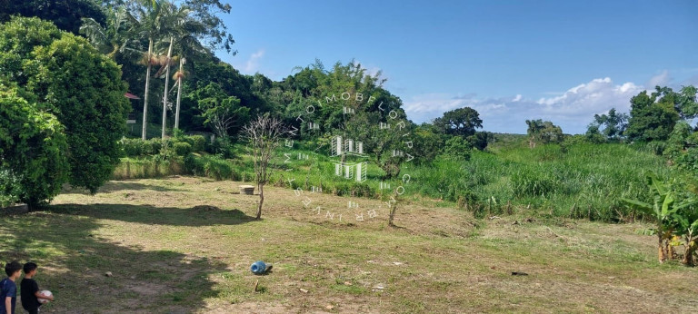 Imagem Imóvel com 1 Quarto à Venda, 66.000 m² em Sambaqui - Florianópolis Imagem Imóvel com 1 Quarto à Venda, 66.000 m² em Sambaqui - Florianópolis