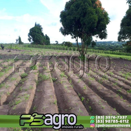 Imagem Sala Comercial à Venda, 80.000 m² em Conde Imagem Sala Comercial à Venda, 80.000 m² em Conde