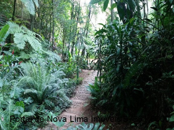 Imagem Terreno à Venda, 4.000 m² em Vila Del Rey - Nova Lima