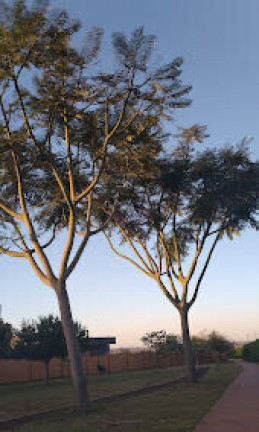 Imagem Casa de Condomínio com 5 Quartos à Venda, 256 m² em Alphaville Campo Grande 3 - Campo Grande Imagem Casa de Condomínio com 5 Quartos à Venda, 256 m² em Alphaville Campo Grande 3 - Campo Grande