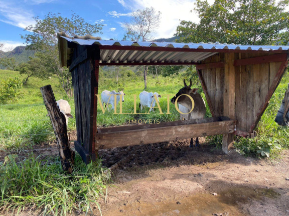 Imagem Chácara com 3 Quartos à Venda, 500 m² em Niquelândia Imagem Chácara com 3 Quartos à Venda, 500 m² em Niquelândia
