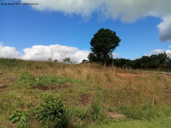 Imagem Terreno à Venda, 370 m² em Linha Imperial - Nova Petrópolis Imagem Terreno à Venda, 370 m² em Linha Imperial - Nova Petrópolis