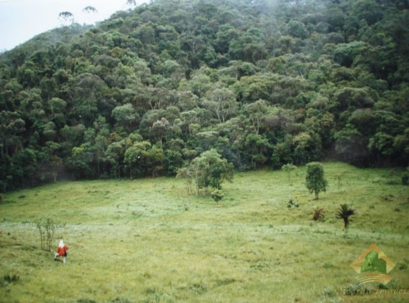 Imagem Terreno à Venda, 4.695 m² em Campos De Cunha - Cunha Imagem Terreno à Venda, 4.695 m² em Campos De Cunha - Cunha