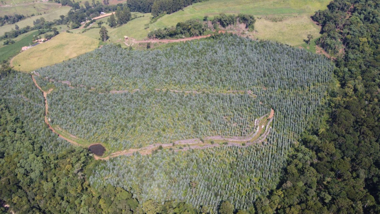 Imagem Terreno à Venda, 170.000 m² em Interior - Jaborá Imagem Terreno à Venda, 170.000 m² em Interior - Jaborá