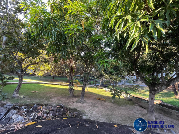 Imagem Chácara à Venda, 4 m² em Zona Rural - Goiás Imagem Chácara à Venda, 4 m² em Zona Rural - Goiás