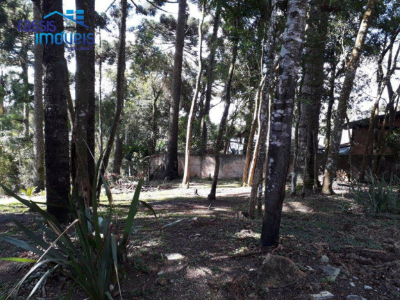 Imagem Terreno à Venda, 658 m² em Canguiri - Colombo Imagem Terreno à Venda, 658 m² em Canguiri - Colombo