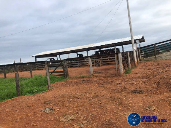 Imagem Fazenda à Venda, 105 m² em Zona Rural - Fazenda Nova Imagem Fazenda à Venda, 105 m² em Zona Rural - Fazenda Nova