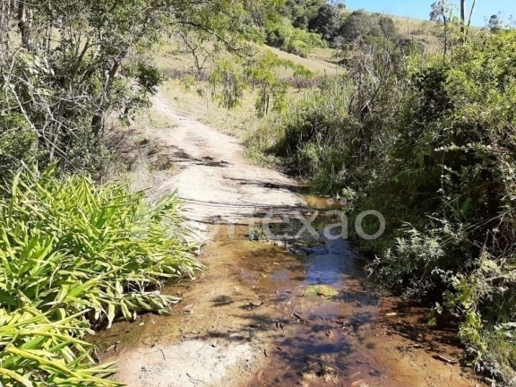 Imagem Chácara com 3 Quartos à Venda, 200 m² em Cedro - Paraibuna Imagem Chácara com 3 Quartos à Venda, 200 m² em Cedro - Paraibuna