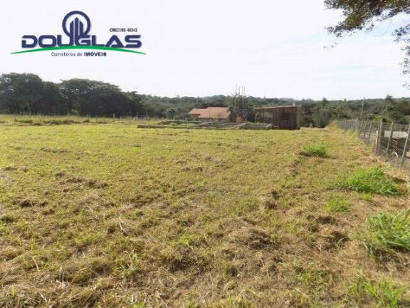 Imagem Chácara à Venda, 5.000 m² em Viamão