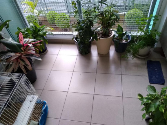 Imagem Apartamento com 2 Quartos à Venda, 58 m² em Jardim Flor Da Montanha - Guarulhos Imagem Apartamento com 2 Quartos à Venda, 58 m² em Jardim Flor Da Montanha - Guarulhos