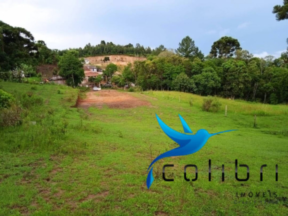 Imagem Terreno à Venda, 3.785 m² em Pinheiro Ocado - Agudos Do Sul Imagem Terreno à Venda, 3.785 m² em Pinheiro Ocado - Agudos Do Sul
