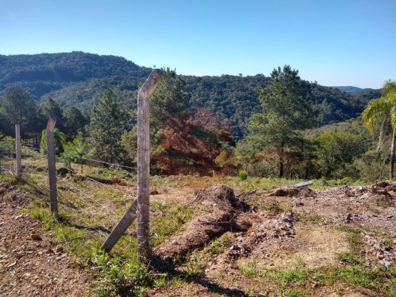 Imagem Chácara com 1 Quarto à Venda, 1 m² em Itambezinho - Campo Largo