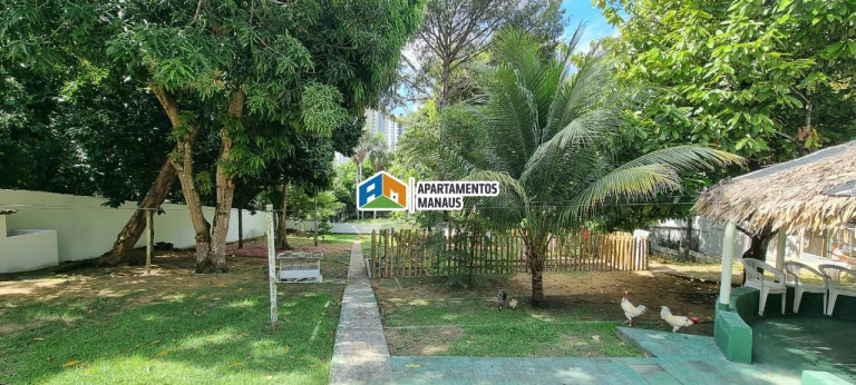 Imagem Terreno à Venda, 4.000 m² em Aleixo - Manaus