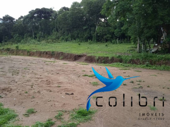 Imagem Terreno à Venda, 3.785 m² em Pinheiro Ocado - Agudos Do Sul Imagem Terreno à Venda, 3.785 m² em Pinheiro Ocado - Agudos Do Sul