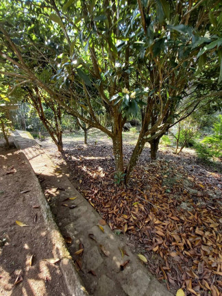 Imagem Casa com 3 Quartos à Venda, 18 m² em Chácara Paraíso - Nova Friburgo Imagem Casa com 3 Quartos à Venda, 18 m² em Chácara Paraíso - Nova Friburgo