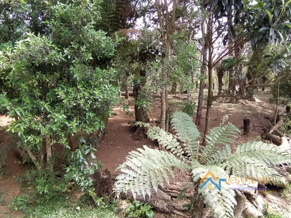 Imagem Chácara com 3 Quartos à Venda, 194 m² em Campestre Da Faxina - São José Dos Pinhais Imagem Chácara com 3 Quartos à Venda, 194 m² em Campestre Da Faxina - São José Dos Pinhais