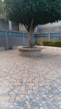 Imagem Apartamento com 2 Quartos à Venda, 48 m² em Conjunto Residencial José Bonifácio - São Paulo Imagem Apartamento com 2 Quartos à Venda, 48 m² em Conjunto Residencial José Bonifácio - São Paulo