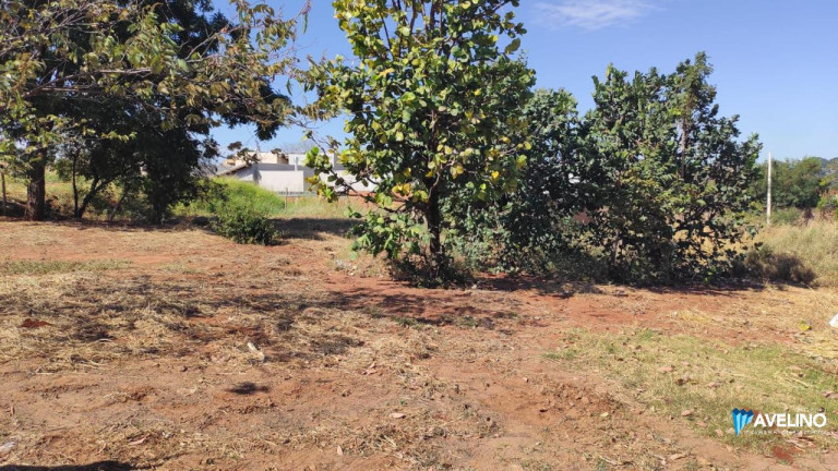 Imagem Terreno à Venda, 360 m² em Jardim Mansur - Campo Grande
