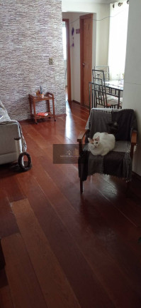 Imagem Apartamento com 2 Quartos à Venda, 50 m² em Vila Nova Cachoeirinha - São Paulo Imagem Apartamento com 2 Quartos à Venda, 50 m² em Vila Nova Cachoeirinha - São Paulo