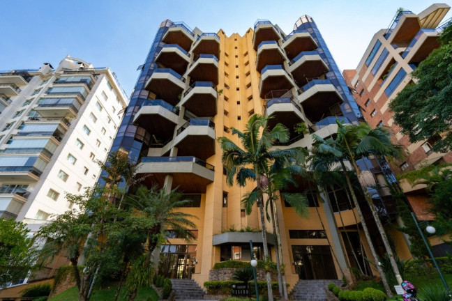 Imagem Imóvel com 3 Quartos à Venda, 243 m² em Jardim Vitória Régia - São Paulo Imagem Imóvel com 3 Quartos à Venda, 243 m² em Jardim Vitória Régia - São Paulo
