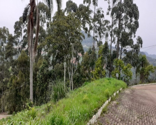 Imagem Imóvel à Venda, 455 m² em Piá - Nova Petrópolis Imagem Imóvel à Venda, 455 m² em Piá - Nova Petrópolis
