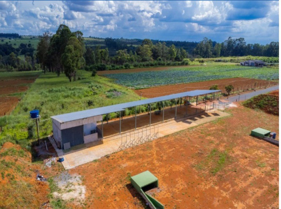 Imagem Terreno à Venda, 40.000 m² em área Rural De Brazlândia - Brasília Imagem Terreno à Venda, 40.000 m² em área Rural De Brazlândia - Brasília