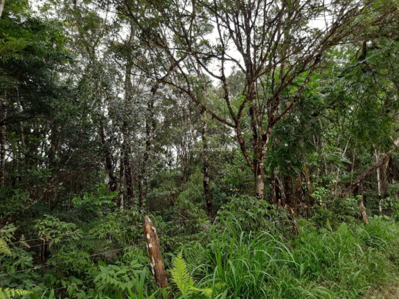 Imagem Fazenda à Venda, 127.997 m² em Pacotuba - Almirante Tamandaré
