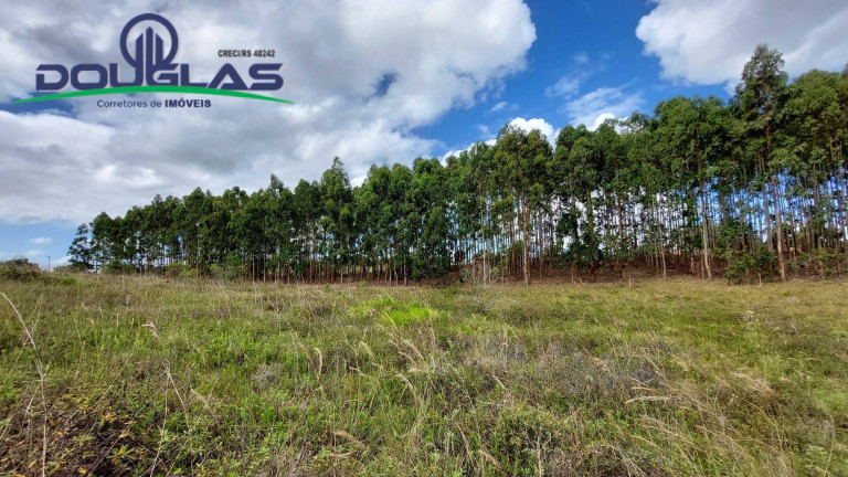 Imagem Chácara à Venda, 20.000 m² em águas Claras - Viamão