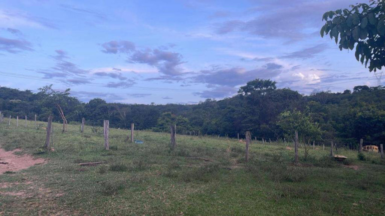 Imagem Fazenda à Venda, 24 m² em Centro - Luziânia