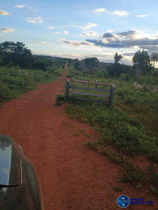 Imagem Fazenda à Venda, 456 m² em Zona Rural - Ananás Imagem Fazenda à Venda, 456 m² em Zona Rural - Ananás