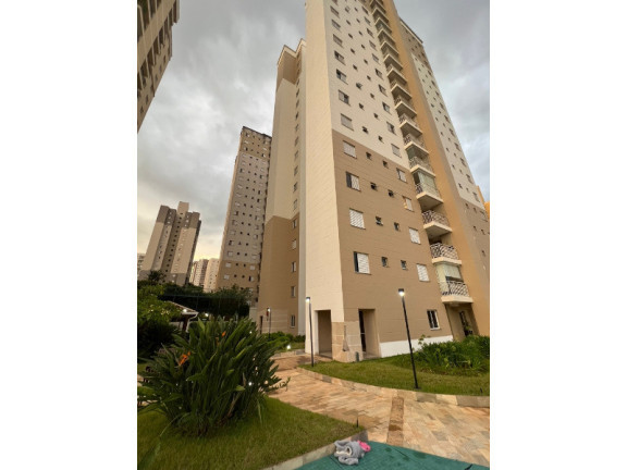 Imagem Apartamento com 3 Quartos à Venda, 76 m² em Mansões Santo Antônio - Campinas