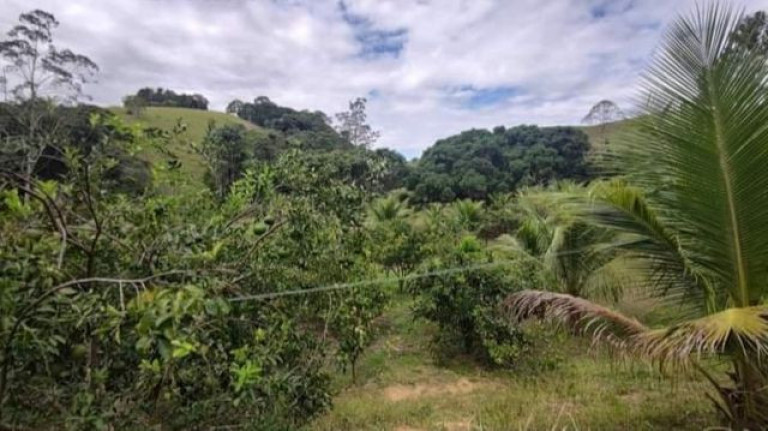 Imagem Imóvel à Venda, em área Rural - Macaé Imagem Imóvel à Venda, em área Rural - Macaé
