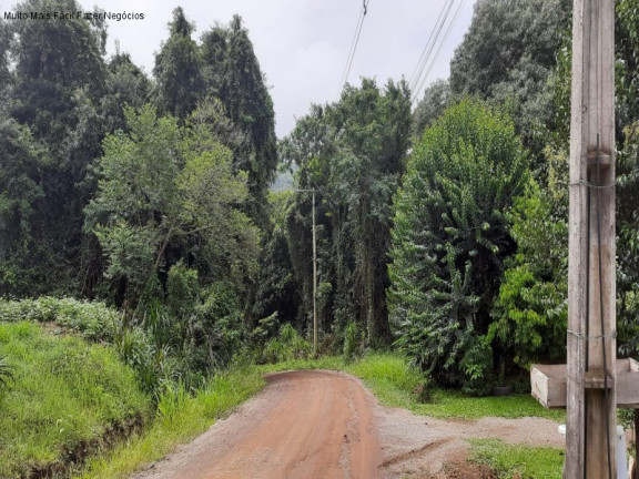 Imagem Casa com 3 Quartos à Venda, 240 m² em Germânia - Nova Petrópolis Imagem Casa com 3 Quartos à Venda, 240 m² em Germânia - Nova Petrópolis