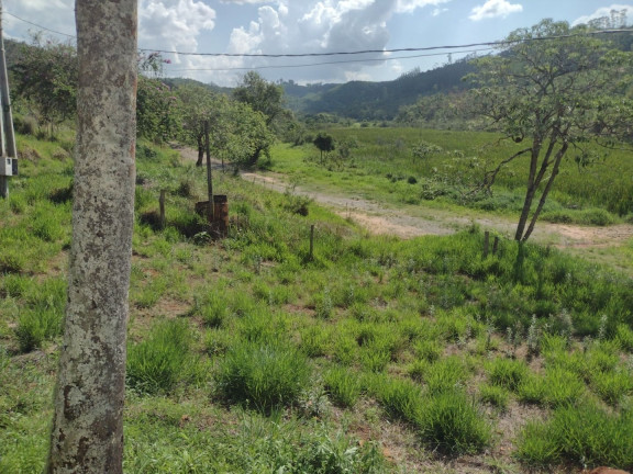 Imagem Fazenda à Venda, 100 m² em Centro - Guaratinguetá Imagem Fazenda à Venda, 100 m² em Centro - Guaratinguetá