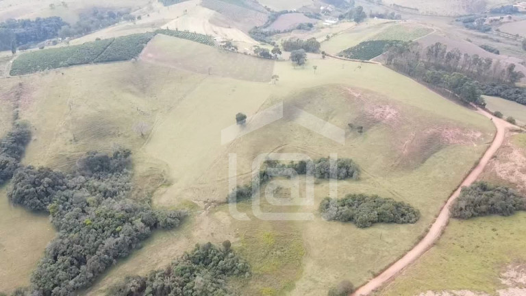Imagem Imóvel com 2 Quartos à Venda, 29 m² em Pessegueiros - Campestre Imagem Imóvel com 2 Quartos à Venda, 29 m² em Pessegueiros - Campestre
