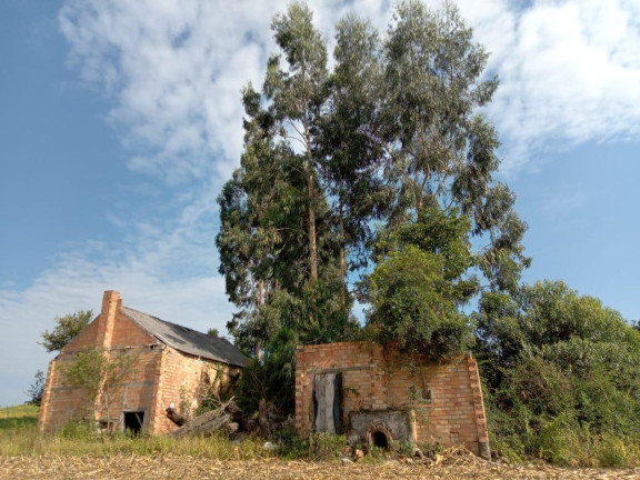 Imagem Imóvel com 3 Quartos à Venda, 130.000 m² em Cantagalo - Antônio Olinto Imagem Imóvel com 3 Quartos à Venda, 130.000 m² em Cantagalo - Antônio Olinto