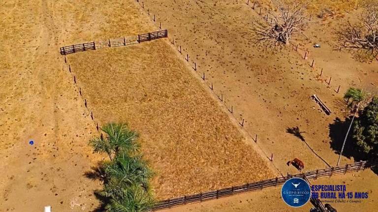 Imagem Fazenda à Venda, 92 m² em Zona Rural - Cristianópolis Imagem Fazenda à Venda, 92 m² em Zona Rural - Cristianópolis