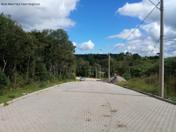 Imagem Terreno à Venda, 370 m² em Linha Imperial - Nova Petrópolis Imagem Terreno à Venda, 370 m² em Linha Imperial - Nova Petrópolis