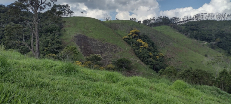 Imagem Chácara com 2 Quartos à Venda, 100 m² em Centro - Natividade Da Serra Imagem Chácara com 2 Quartos à Venda, 100 m² em Centro - Natividade Da Serra