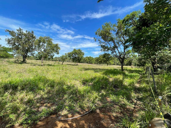 Imagem Chácara à Venda, 9.000 m² em Parque Las Vegas - Bela Vista De Goiás Imagem Chácara à Venda, 9.000 m² em Parque Las Vegas - Bela Vista De Goiás