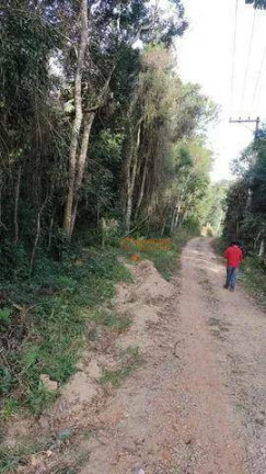 Imagem Terreno à Venda, 15.000 m² em Marmelo - Guarulhos Imagem Terreno à Venda, 15.000 m² em Marmelo - Guarulhos
