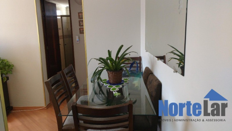 Imagem Apartamento com 2 Quartos à Venda, 50 m² em Jardim Tiro Ao Pombo - São Paulo Imagem Apartamento com 2 Quartos à Venda, 50 m² em Jardim Tiro Ao Pombo - São Paulo
